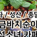 [하도마을]스노클링 네이버블로그