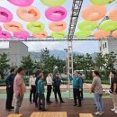 마산가고파 국화축제장 이미지