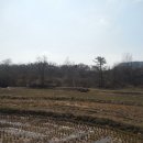 에이스목장 네이버블로그