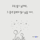 오늘의위로