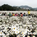 금산인삼랜드(대전) 이미지