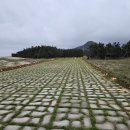 덕천펜션 | 영덕펜션 고래불해변의 숨은 보석, 펜션명사20 체험 후기