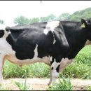 기효목장 이미지