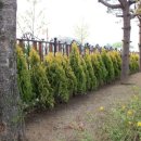 경재목장 이미지