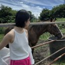 스튜디오숄트 이미지