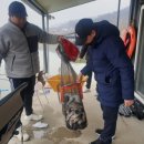 항포낚시터 이미지