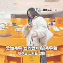 제주 하르방 | 제주도디저트 선물 오늘제주 신라면세점 제주점 하르방느 후기