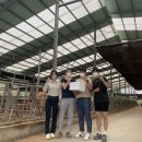 비옥한 여물농장 이미지