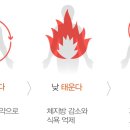 온바디한의원 이미지