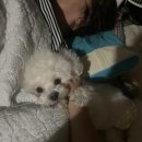 통정경로당 이미지