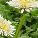 영농조합법인 참농 이미지