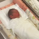세인트마리 제왕절개 입원후기 2.2kg 저체중아의 신생아황달