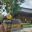 나우커피하당점 | 경주 맥심 팝업스토어 다녀온 후기 ☕(+스탬프 증정이벤트로 텀블러 받기 )
