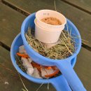 웃안미 농장 | 용인 아이랑 가볼만 한 곳 반나절 순삭 동물 먹이 주기 딸기농장 체험 해븐온어스