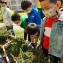 괘법한신유치원 이미지