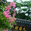 화룡삼거리~서산건널목간 도로확포장공사 | 충남 홍성
