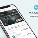 마카롱통신 이미지