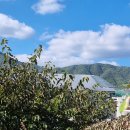 삼양 태양광발전소 이미지