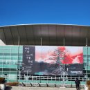 정함 체육관 | 2025 쏜애플 바다와 구름과 무대 2일차 후기