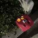 납부필증(칩) 이미지