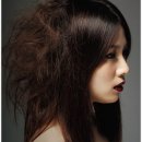 헤어  in 이미지