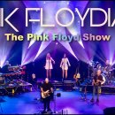 Shine On you Crazy Diamond - Pink Floyd cover performed by Pink Floydian 이미지
