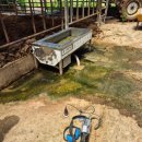 홍성목장 이미지