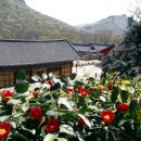 새봄농장(2) 이미지