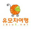 제주여행신호등
