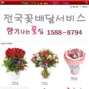 가자꽃배달 이미지