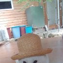 큰황골가든 | [전북완주]애견동반계곡식당을 찾으신다면? 완주운주계곡 큰황골가든 추천! 솔직이용후기!