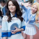 와썹 카카오 검색결과