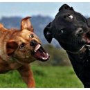 가족오락관 이미지