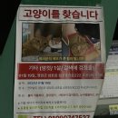삼호셀프빨래방 - 영암군 대불주거로 211 | 삼호셀프빨래방