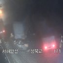 충남밤