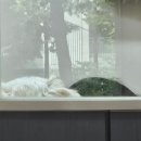 내개로와 이미지