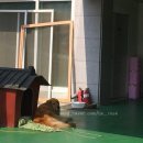 마린보이수상레저