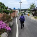 대곡마을 이미지