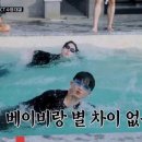 수영농장 네이버블로그