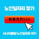 양양군 시니어클럽 노인 일자리 신청 방문 신청 노인일자리 여기 홈페이지 조회 이미지