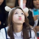 십쇼