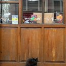 행복한맛남 | [여행] 터키터키2 / 참좋은 여행사 터키 패키지 후기(꿀팁)