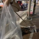 몽스토랑 이미지