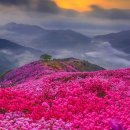 영취산 Daum카페