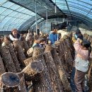 산외농장 이미지