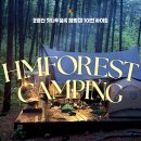 호명산잣나무숲속캠핑장🏕️ 벌써 3번째 방문,10번 사이트 명당 추천 후기💚
