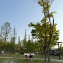 미가떡볶이 이미지