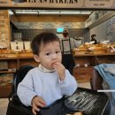 베이커스커피 | [광주 풍암동 카페 추천 레파스베이커스]커피 베이커리 맛집 메뉴 총정리 내돈내산 후기