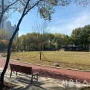 대머리근린공원 이미지