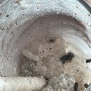 천안 봉명동 카페,디저트 맛집 &#34;노트밀“ feat. 케이크 뷔페 수준, 뷰 맛집(?)